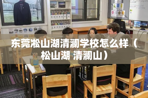 东莞凇山湖清澜学校怎么样（松山湖 清澜山）