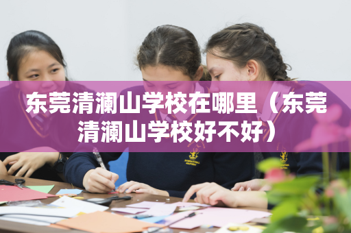 东莞清澜山学校在哪里（东莞清澜山学校好不好）