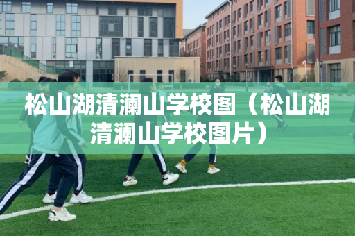 松山湖清澜山学校图（松山湖清澜山学校图片）