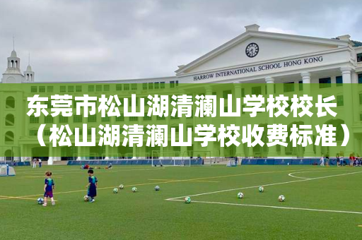 东莞市松山湖清澜山学校校长（松山湖清澜山学校收费标准）